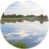 Image for Shingle Creek Golf Club course