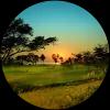 Image for La Iguana Golf Course course