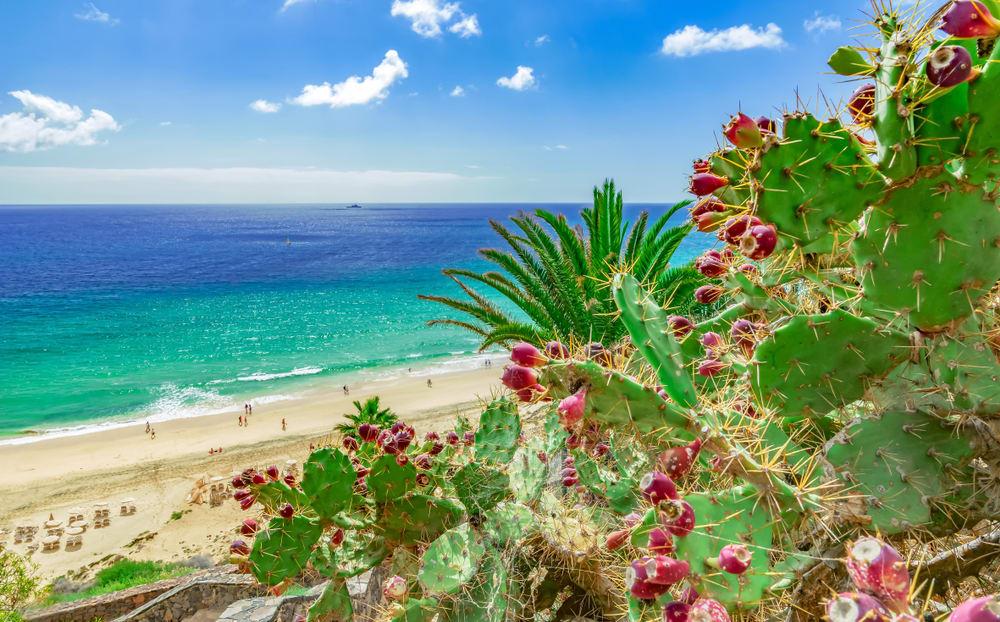 Golf course - Fuerteventura