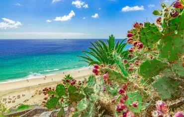 Golf course - Fuerteventura
