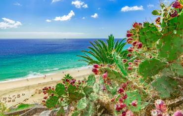 Golf course - Fuerteventura