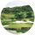 Rose Hall - White Witch Golf Club